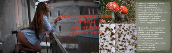 СК Алзамай
