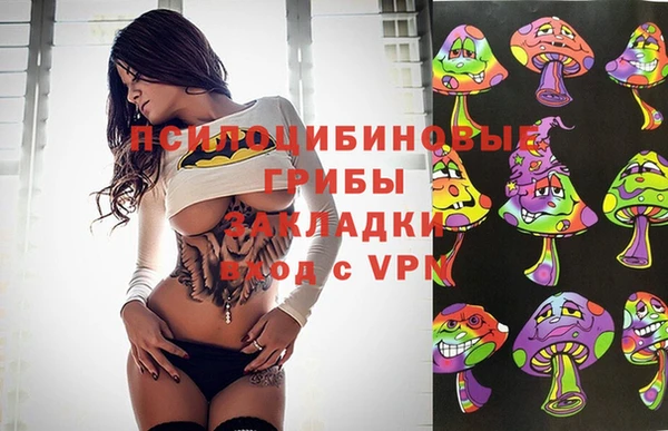 СК Алзамай