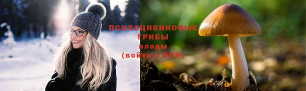 СК Алзамай